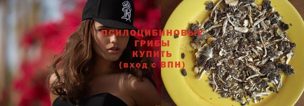 таблы Вяземский