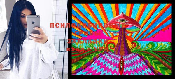 таблы Вяземский