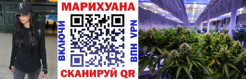 Каннабис индика  Купить где  Сланцы 
